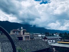 -喵屿·大理花园猫咖