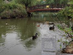 -天生桥景区
