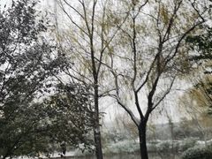 -河海大学(江宁校区)
