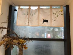 -猫里有甜