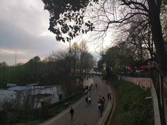 -岳麓山风景名胜区