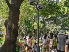 -成都市活水公园