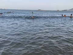 -马銮湾景区