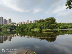 -重庆彩云湖湿地公园