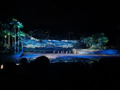 -三亚红色娘子军演艺公园景区