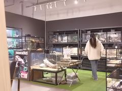 -FAIRYLAND龙族星球主题餐厅(凯丹广场店)