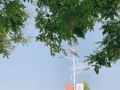 -北国奥特莱斯