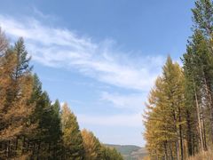 -塞罕坝国家级自然保护区