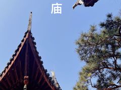-龙华寺
