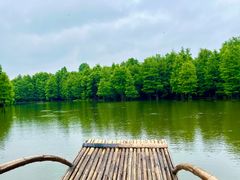 -尚湖风景区