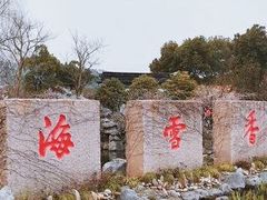 -香雪海