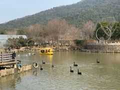 -无锡动物园·太湖欢乐园