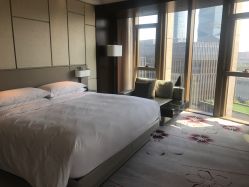 -南京华泰万丽酒店·宴会厅
