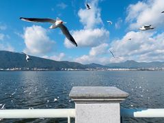 -海埂大坝