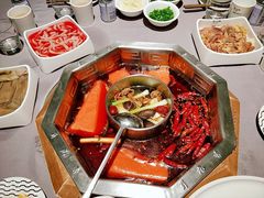 双人锅鸳鸯-蜀九香火锅(九眼桥店)