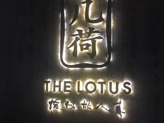 -几荷·恰似故人来(秀水广场店)