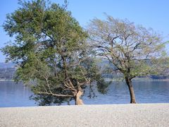 -阳宗海湿地