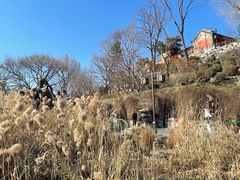 -郭守敬纪念馆