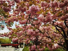 -江南大学(蠡湖校区)