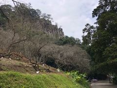 -广州市石门国家森林公园