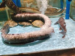 -阿伟海鲜楼·福建菜(延寿店)