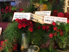 -杂咖zacup(领展中心城店)