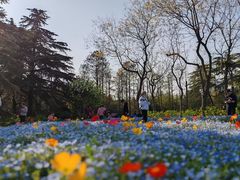 -上海滨江森林公园