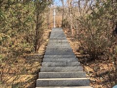 -南翠屏公园