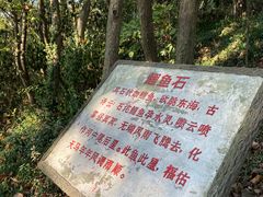 -上海佘山国家森林公园天马山园