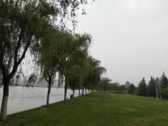 -咸阳湖景区-古渡公园