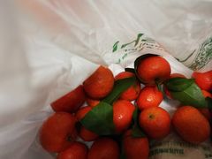 -叶氏兄弟(大连奥特莱斯店)