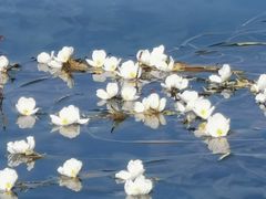 -丽江泸沽湖景区