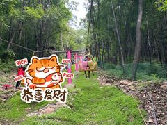 -帽儿山风景区