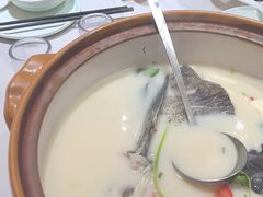 -全乐鱼馆·淳牌有机鱼直营店