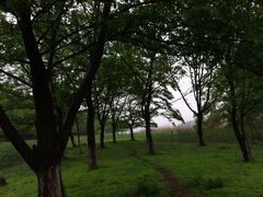 -东钱湖旅游度假区