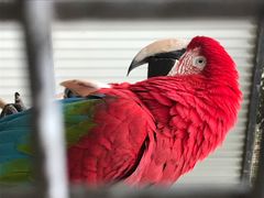 -费瑟代尔野生动物园