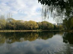 -昆山城市生态森林公园