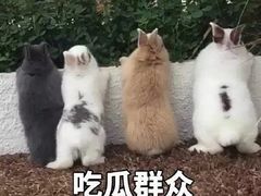 -嘿哟动霸CHUA·新潮玩运动娱乐中心·蹦床滑冰团建乐园