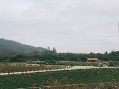 -水磨农庄