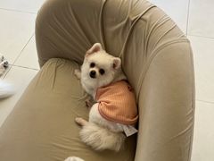 -怪兽屋·羊驼·猫咖·狗咖(俊华广场店)