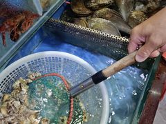 -张树军海鲜(王府壹号店)