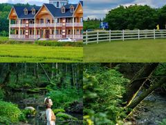 -五营红松林海景区