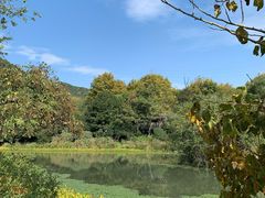 -八卦田遗址公园