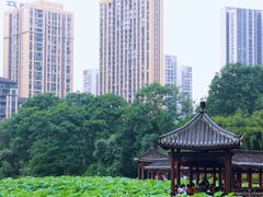 -龙头寺公园