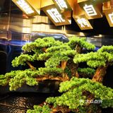 武汉2位数自助烤肉中的黑马🐎300➕食品尽享美味