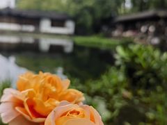 -郭庄景区