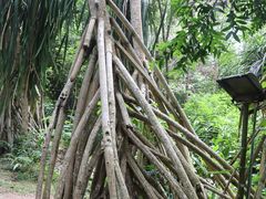 -中国科学院西双版纳热带植物园