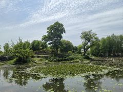 -滆湖低碳生态公园