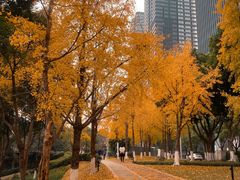 -重庆市江北嘴中央商务区中央公园