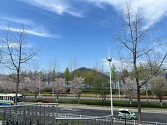 -宝荣鱼馆·临湖之宴(千岛湖店)